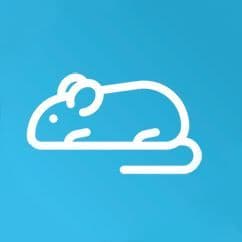 icon_8